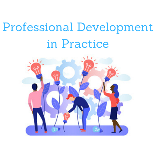 Professional Development in Practice
